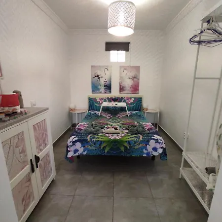 Flamingo With Terrace And Private Bath By Flamingo House * アレシフェ