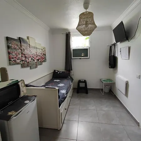 Apartment Flamingo With Terrace And Private Bath By Flamingo House