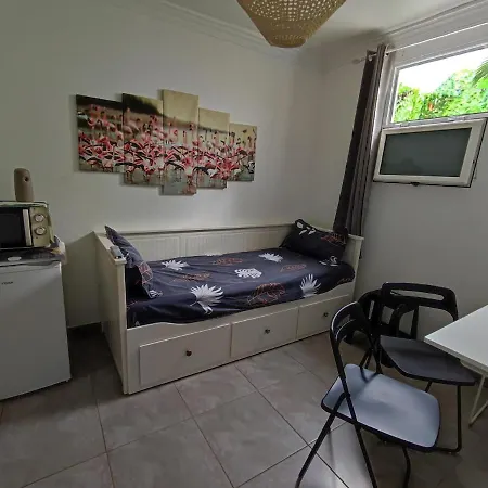 Flamingo With Terrace And Private Bath By Flamingo House * アレシフェ