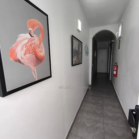 Apartamento Flamingo With Terrace And Private Bath By Flamingo House *